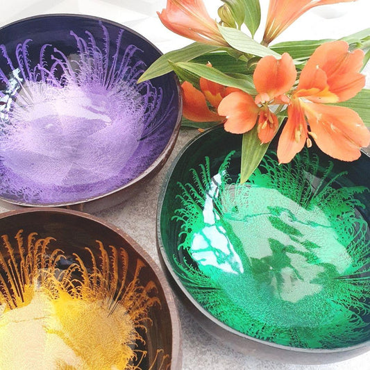 Black Qubd What are Coconut Bowls?